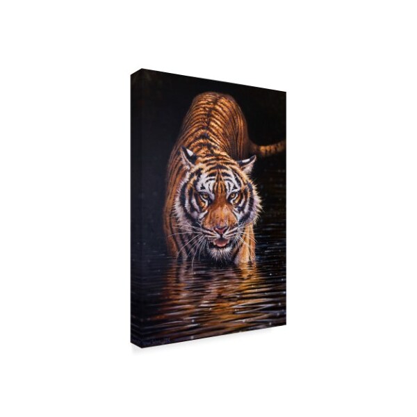 Michael Jackson 'Tiger In The Dark' Canvas Art,16x24